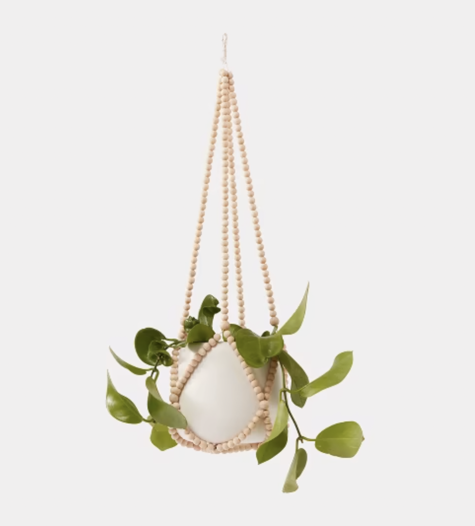 Kmart hanging outlet pot